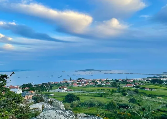 Lar Da Amarella