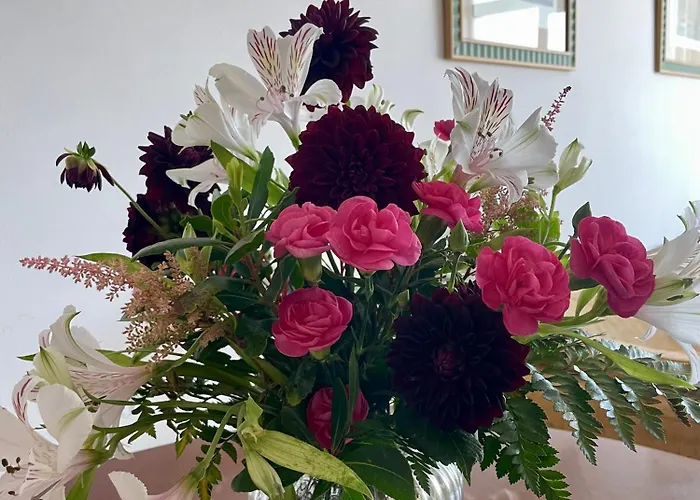 Lar Da Amarella * リベイラ